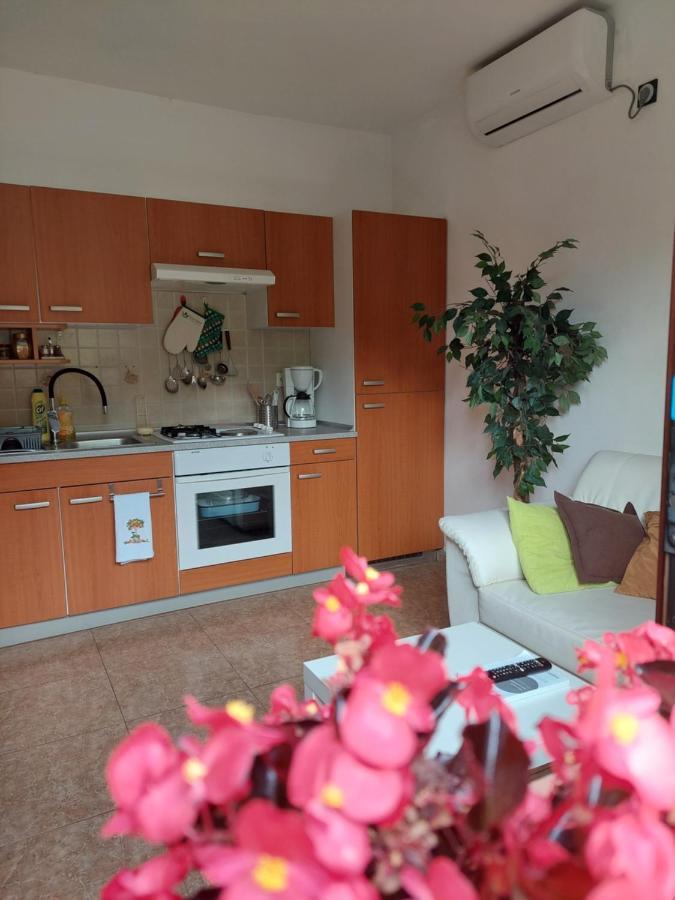 Apartman Gina 拉宾 外观 照片